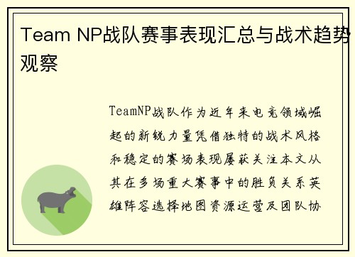 Team NP战队赛事表现汇总与战术趋势观察
